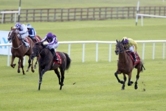 Camelot-PML 00190090