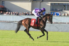 Camelot-PML 00190141