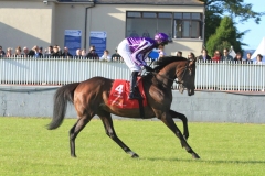 Camelot-PML 00190142