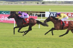 Camelot-PML 00190166