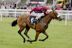 Termagant PML 0099169.JPG Termagant PML 0099169.JPG