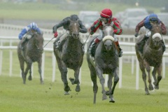 Arctic PML 0099083.JPG