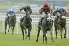 Arctic PML 0099087.JPG