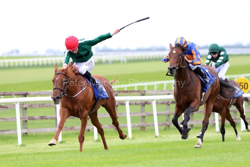 30 August 2019;   CAYENNE PEPPER, Shane Foley up, left, are comfortable victors over So Wonderful, Ryan Moore up, in The Flame Of Tara Irish  European Breeders Fund Stakes at The Curragh.      © Peter Mooney, 59 Upper George's Street, Dun Laoghaire, Co. Dublin A96 H2R3, Ireland.    Tel:  00 353 (0)86 2589298