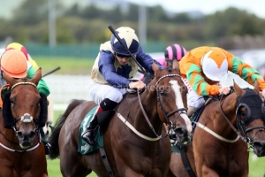 Jagged Edge 300825PML1610.jpg