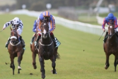 Battle Of Marengo-PML 00197809