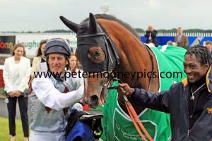 ambivalent-pml-00131276 ambivalent-pml-00131276