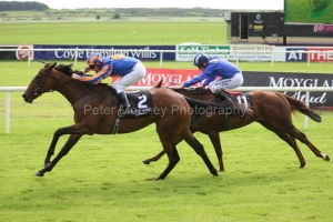 Again PML 0075020.JPG Again PML 0075020.JPG