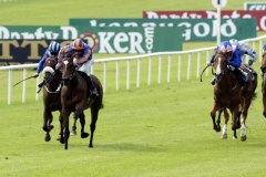 Again PML 0075070.JPG