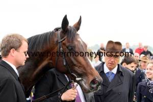 camelot-pml-00124400 camelot-pml-00124400