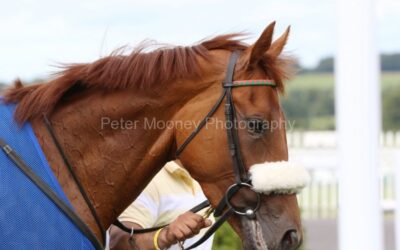Naas 03/08/20