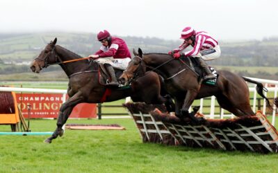 Punchestown 15/11/20