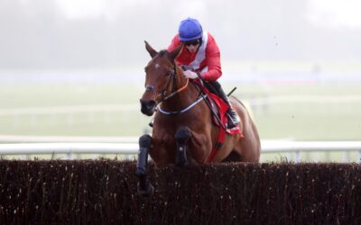 Fairyhouse 29/11/20