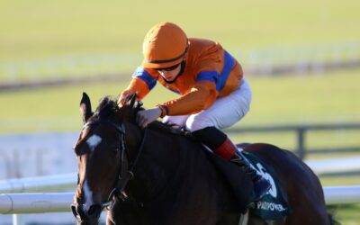 The Curragh 06/11/20