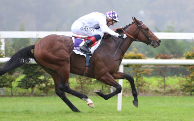 Leopardstown 17/10/20