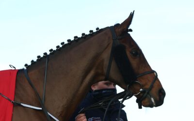 Navan 21/02/21
