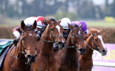 Navan 25/04/21