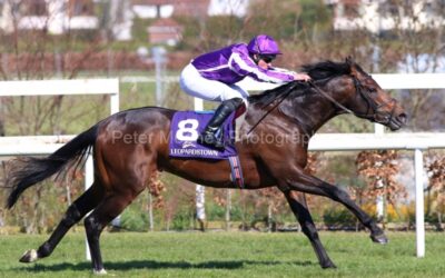 Leopardstown 14/04/21