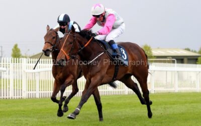 Naas 16/05/21