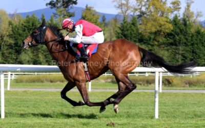Gowran Park 05/05/21