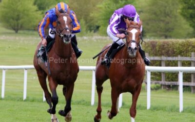 Navan 15/05/21