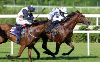 Leopardstown 15/07/21