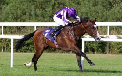 Leopardstown 22/07/21