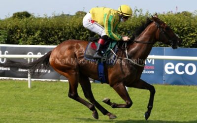 Navan 28/08/21