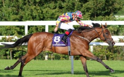 Leopardstown 12/08/21