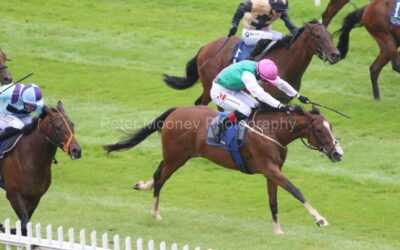 Naas 02/08/21