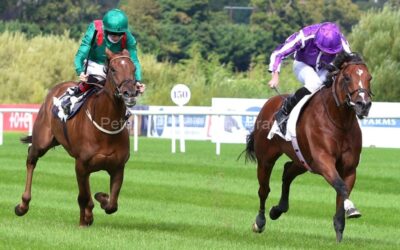 Leopardstown 11/09/21