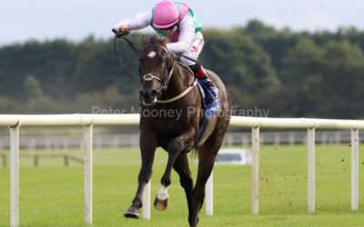 Fairyhouse 20/09/21