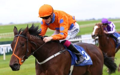 The Curragh 26/10/21