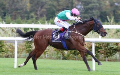 Leopardstown 23/10/21