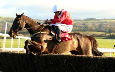 Punchestown 05/12/21
