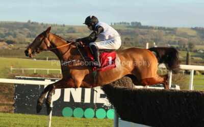 Punchestown 16/01/22