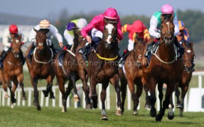 Naas 27/03/22