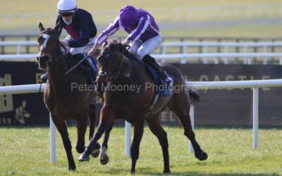 The Curragh 26/03/22