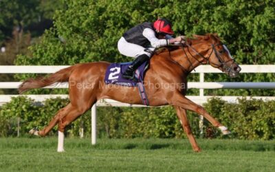 Leopardstown 13/05/22