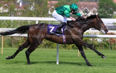 Leopardstown 08/05/22