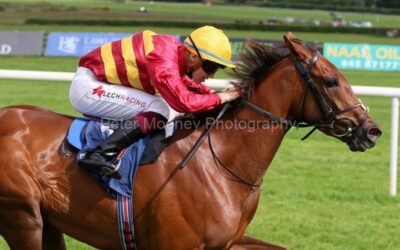 Naas 07/05/22