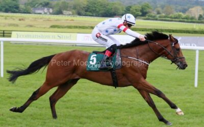 Naas 15/05/22