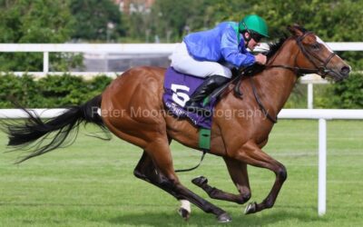 Leopardstown 16/06/22