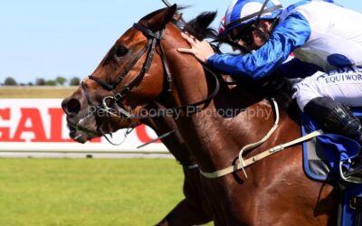 Fairyhouse 10/07/22