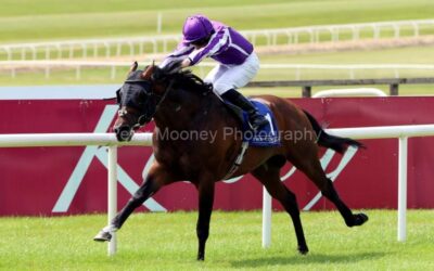 The Curragh 17/07/22