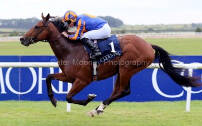 The Curragh 20/08/22