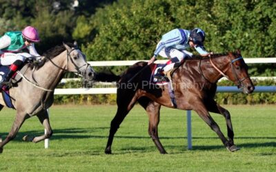 Leopardstown 11/08/22