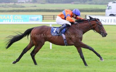 Naas 01/08/22