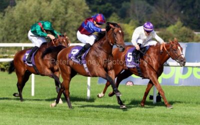 Leopardstown 10/09/22