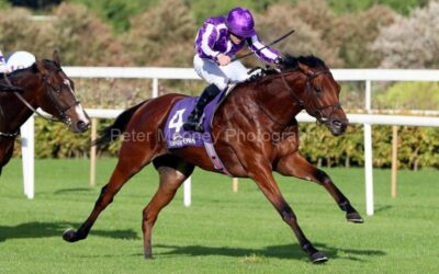 Leopardstown 15/10/22